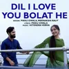 About Dil I Love You Bolat He Song